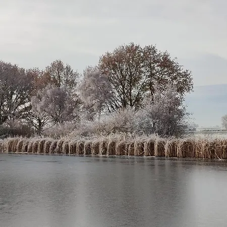Park De Driesprong * نيووفين