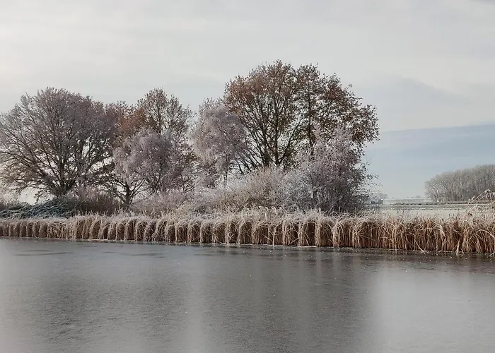 Park De Driesprong * Nieuwveen