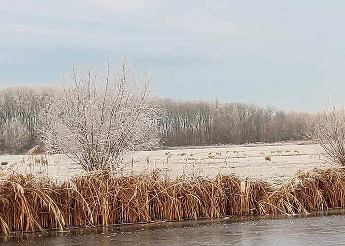 Park De Driesprong Chalet