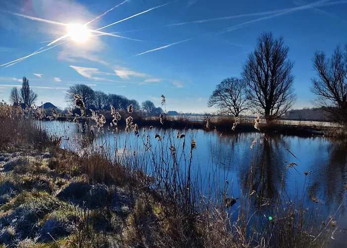 Park De Driesprong Chalet Nieuwveen